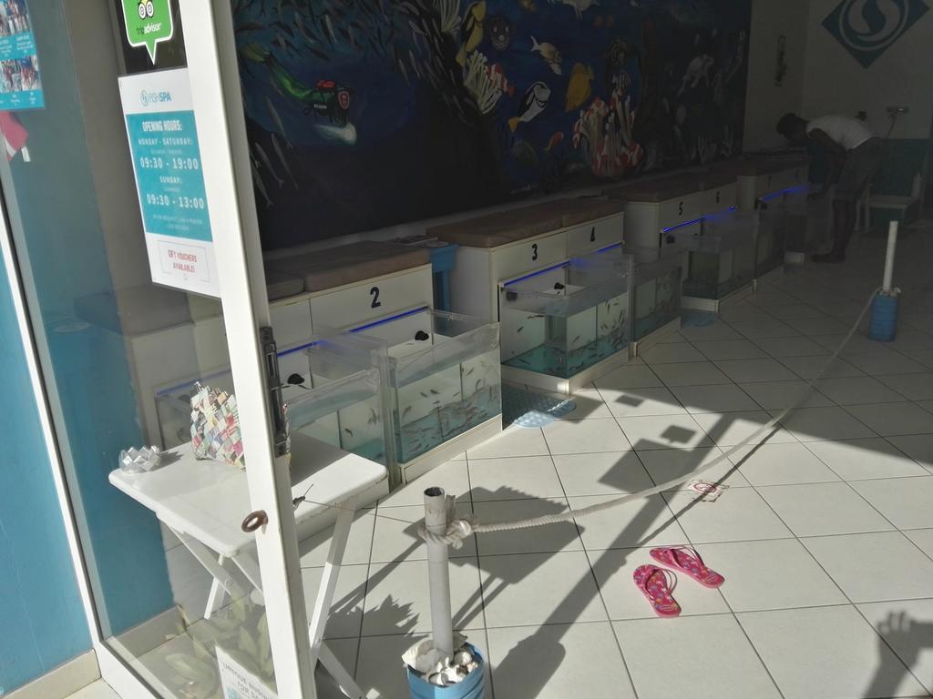 Albis Harena Διαμέρισμα Santa Maria Εξωτερικό φωτογραφία